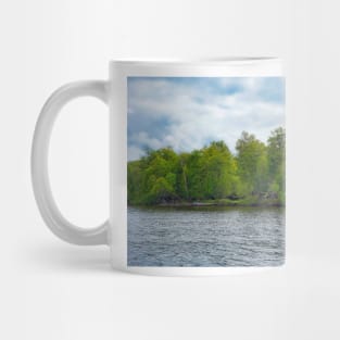 Bay Lake Study 6 Mug